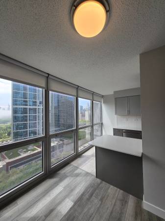 $2,250 / 1br - 787ft2 - Great 1 bed with washer/dryer in unit, hardwood floors and heated pool (Lakeshore East)64041808371971122