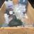 Wine brewing gear 8 thumbnail