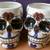 Casa Noble Tequila Day of Dead Skull Mug 4 thumbnail