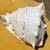 Queen Horned Helmet Conch Shell 10”x 6”x8”  RARE 4 thumbnail