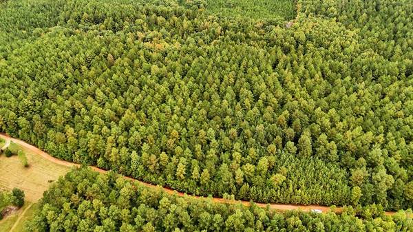 $99,000 21 Acres in Victoria, VA (Flat Rock Creek Trail)63851970376065122