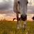 Horse 3 thumbnail