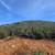 26 Acre Ocean View Parcel Custom Home Sites 8 thumbnail