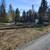 Logging, road building, fire mitigation 10 thumbnail