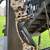 2015 Bowtech Prodigy 3 thumbnail