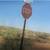 TWO 1/2 ACRE LOTS 4 thumbnail