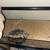 Three leopard geckos 8 thumbnail