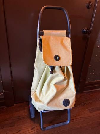 Grocery cart 1