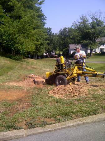 STUMP GRINDING 1