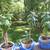 Jade Plants 2 thumbnail