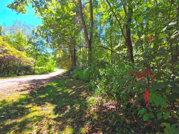 $29,500 1.42 Acres in Waynesville - 123 Live Oak Lp, Lot 29 (Waynesville)64029207346946120