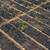 Affordable Florida Starter Lot – Interlachen FL –  Cash Deal 8 thumbnail