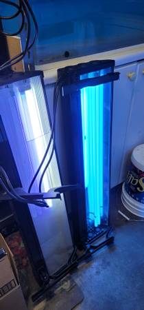 Compact Power Lights and bulbs 1