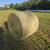 Tons of 4x5 Round Bales Forsale 7 thumbnail