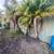 Palm 🌴 & Tree Trimming 🌳 Hedges 🪵 Stump Grinding and Landscaping 15 thumbnail