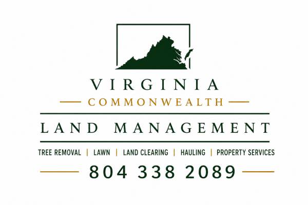 🌳AFFORDABLE TREE CUTTING-WE WORK WITH YOUR BUDGET 🌳 1
