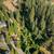 Builders, here are 3 lots combined at this 1 low price! 8 thumbnail