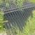 Metal fence (looks like black wrought iron) 4 thumbnail