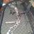 Compound bow 1 thumbnail
