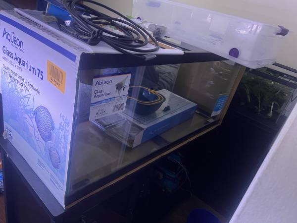 Fish tank and metal stand 1