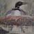 John Gallucci Signed Framed Print Loon Watch 8 thumbnail