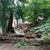 One Bedroom Garden Apt. with huge outdoor private yard 2 thumbnail