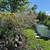 Large Cylindrical Drain Pipe Planters / Troughs / Raised Garden Beds 3 thumbnail
