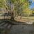 Spacious 4-Bedroom 2-Bath Home Near Cornell 21 thumbnail