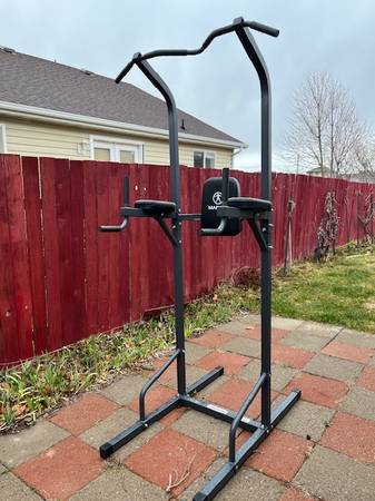 Chin-up & dip bar 1