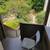 1 bedroom apartment w/garage 3 thumbnail