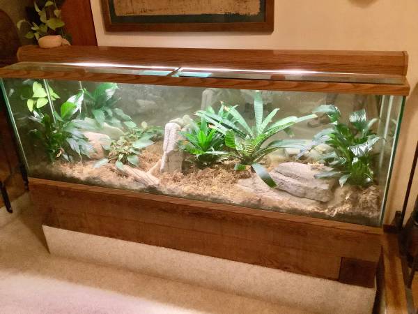 Acuario/terrario (Visalia)63873027958147121