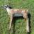 Deer Target 2 thumbnail