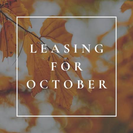 $1,245 / 2br - 920ft2 - 1st Floor Opening in OCTOBER (** $99 Security Deposit **)63679424170753120