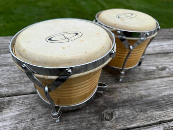 Bongo Drums 1