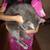 Male cat 2 thumbnail