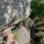 PRO GUTTER CARE - Comprehensive Gutters Services: Cleaning, Installation, Downsp 19 thumbnail