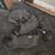 Cane Corso puppies 11 thumbnail
