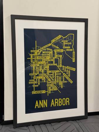 'Ann Arbor' Decorative Accent City Streets Framed Poster 1
