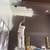 Professional Painter 21 thumbnail
