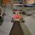 EXERCISE EQUIPMENT 3 thumbnail