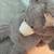Selling giant stuffed teddybear 5 thumbnail