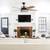 EXPERT CEILING FAN INSTALLATION- Fall Promotion!! 1 thumbnail