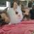 Lionhead dwarfs 3 thumbnail