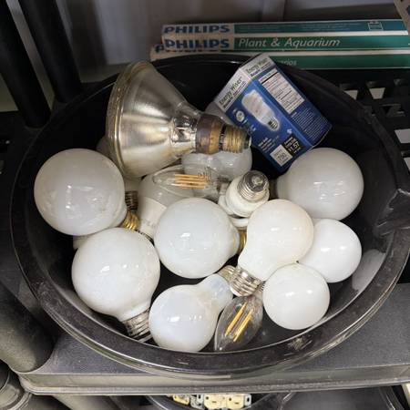Light Bulbs 1