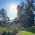 🌳⭐⭐ TREE REMOVAL EXPERTS IN LAKELAND, FL ⭐⭐🌳 11 thumbnail