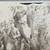Spanish American War or later Military Execution Photo. Lot 2 3 thumbnail