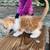 Cat 2 thumbnail