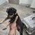 Miniature Pinscher puppy 2 thumbnail
