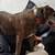 Pit Mix 6 thumbnail