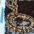 Ball python 9 thumbnail